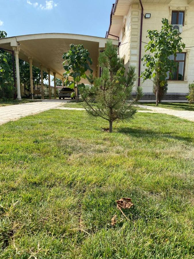 Green Apple Guest House Tashkent Esterno foto
